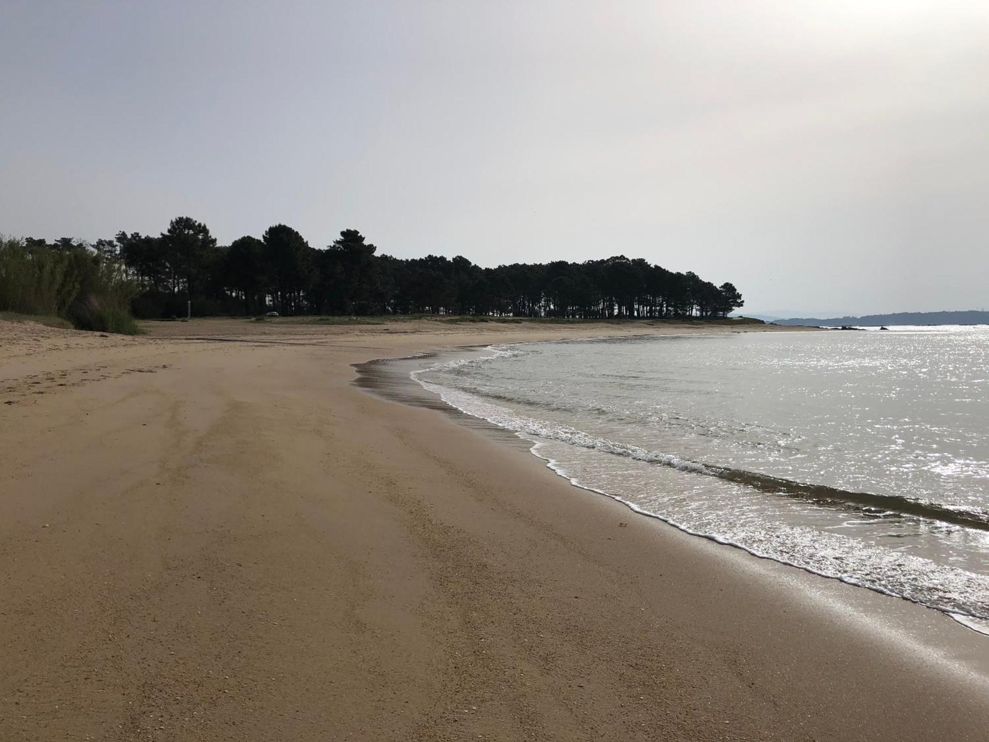 Apartamento Playa Da Corna Palmeira Екстериор снимка